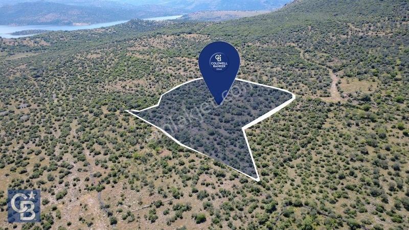 Aliağa Kalabak Köyünde 9.700 M² Satılık Tarla — fotoğraf 4