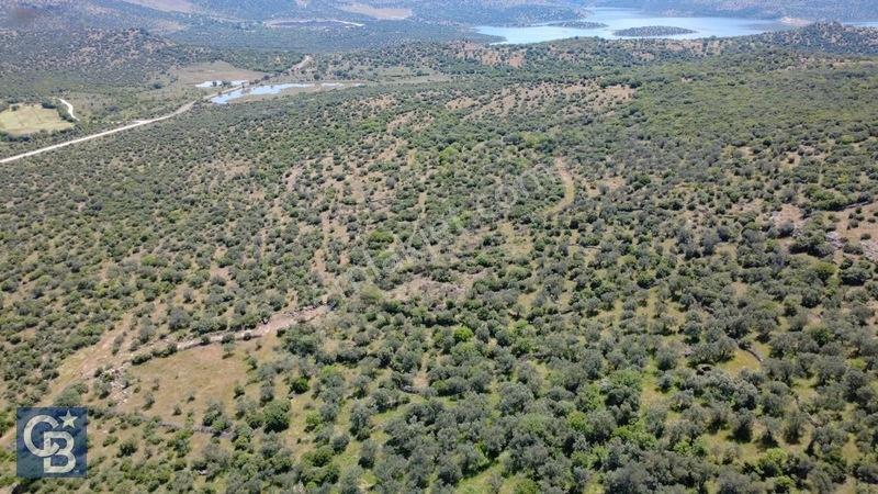 Aliağa Kalabak Köyünde 9.700 M² Satılık Tarla — fotoğraf 5