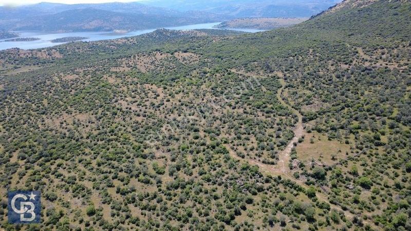 Aliağa Kalabak Köyünde 9.700 M² Satılık Tarla — fotoğraf 6