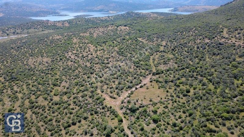 Aliağa Kalabak Köyünde 9.700 M² Satılık Tarla — fotoğraf 7