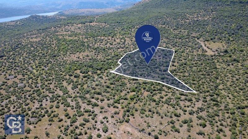 Aliağa Kalabak Köyünde 9.700 M² Satılık Tarla — fotoğraf 8