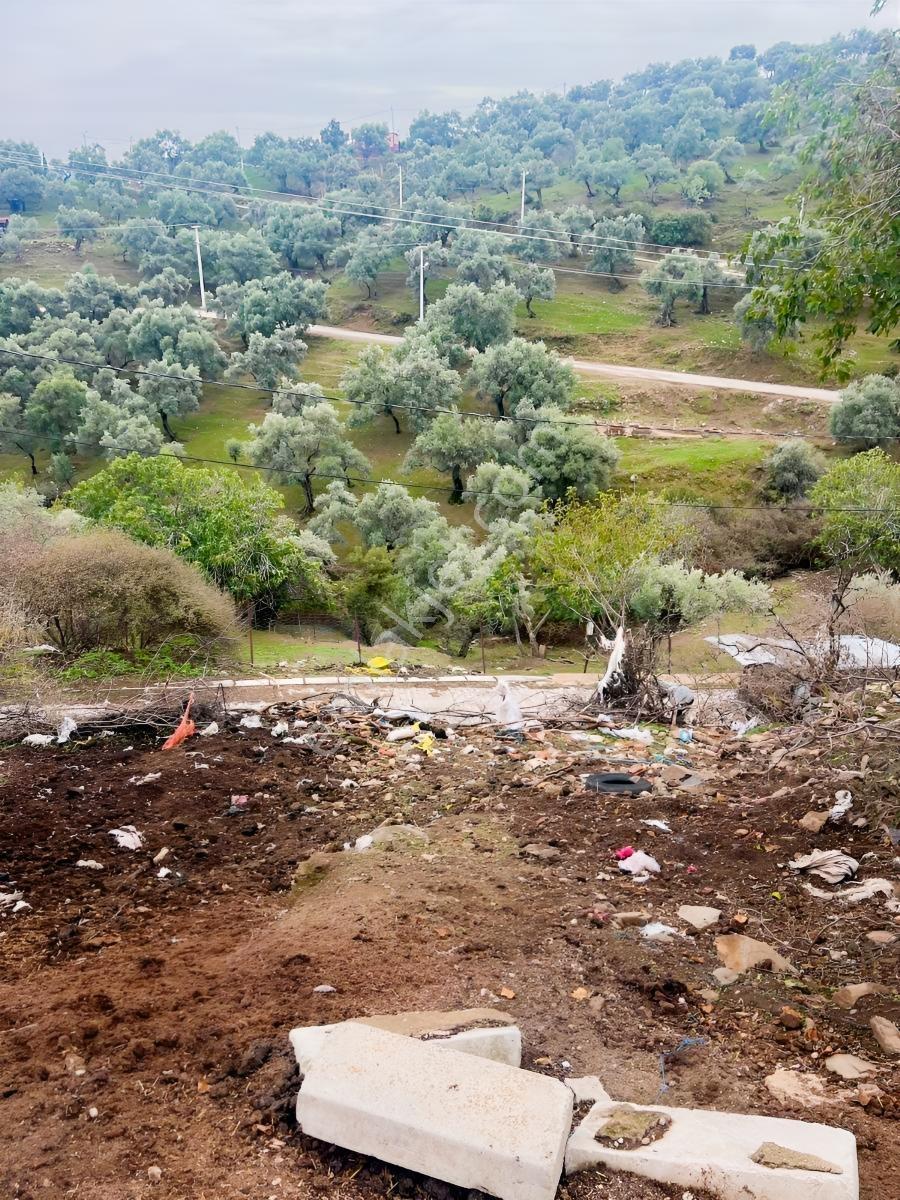 Bayındır Çeniklerde İmarlı Arsa — fotoğraf 2