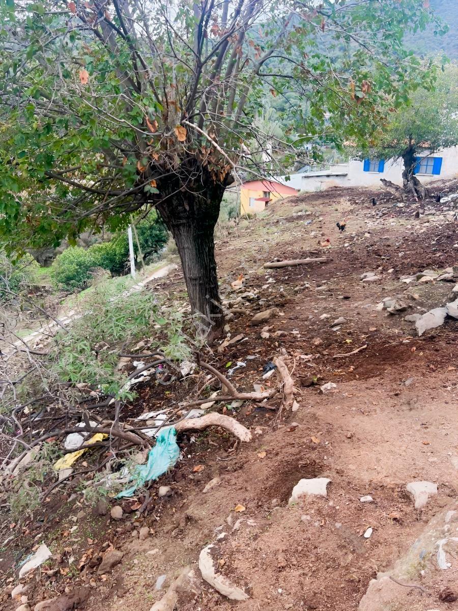 Bayındır Çeniklerde İmarlı Arsa — fotoğraf 3
