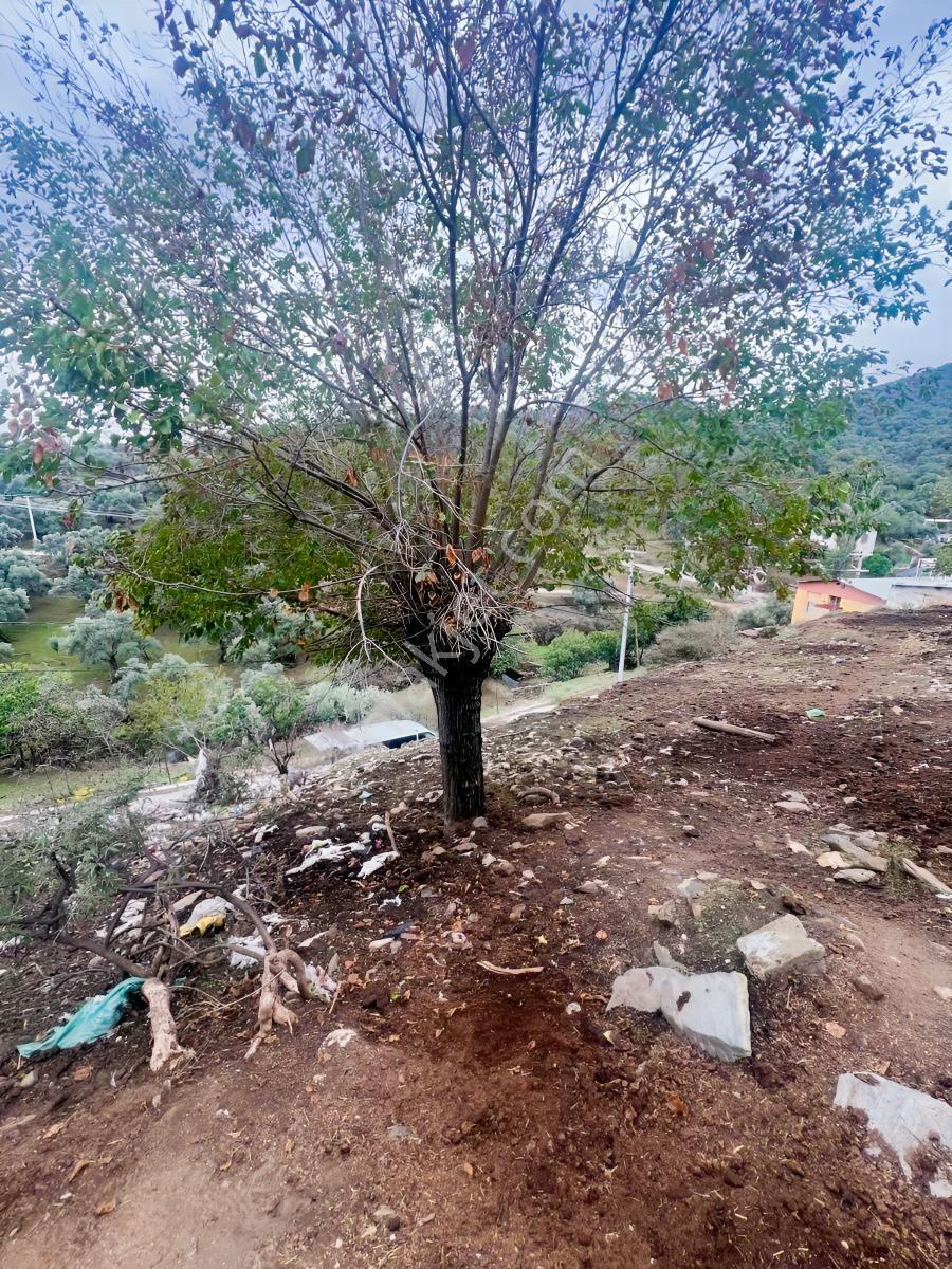 Bayındır Çeniklerde İmarlı Arsa — fotoğraf 5