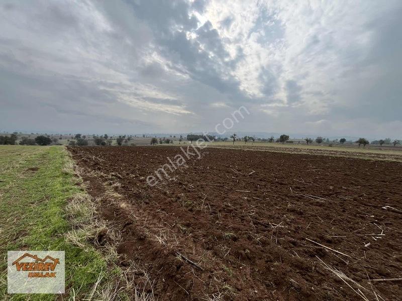 Vezirev Emlak'Tan Arıca Mah.8800 M2 Yola Cephe Tarla