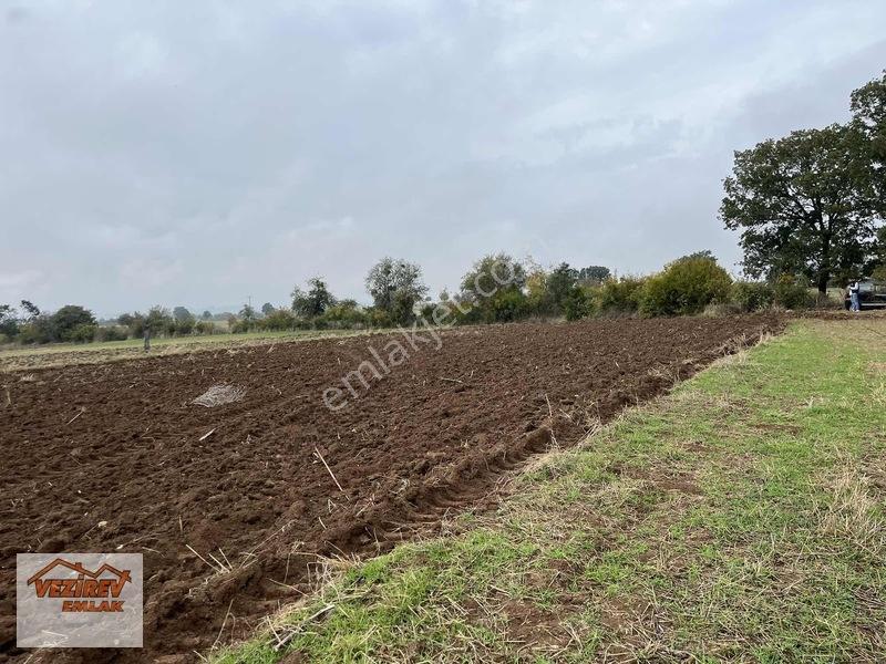 Vezirev Emlak'tan Arıca Mah.8800 M2 Yola Cephe Tarla — fotoğraf 4