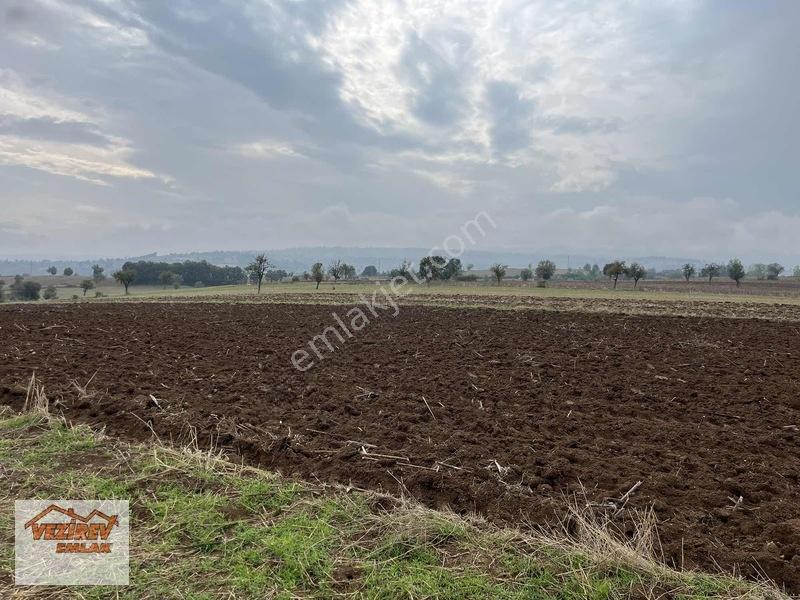 Vezirev Emlak'tan Arıca Mah.8800 M2 Yola Cephe Tarla — fotoğraf 5