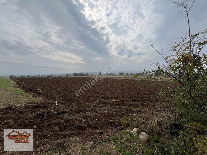 Vezirev Emlak'tan Arıca Mah.8800 M2 Yola Cephe Tarla — fotoğraf 6