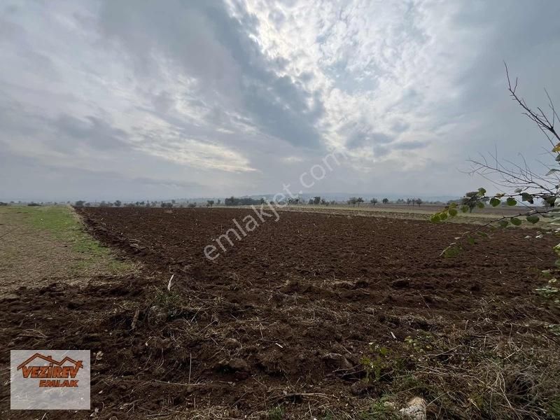 Vezirev Emlak'tan Arıca Mah.8800 M2 Yola Cephe Tarla — fotoğraf 7