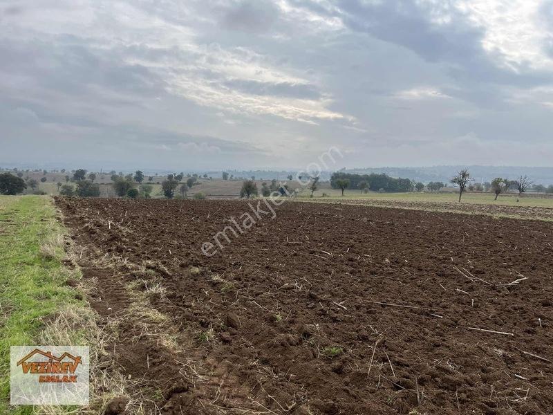 Vezirev Emlak'tan Arıca Mah.8800 M2 Yola Cephe Tarla — fotoğraf 8