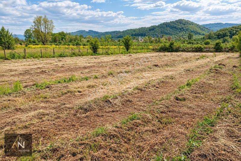 Yatırıma Uygun Çilimli'Ye 10 Dk 3.676M2 Tarla Yola Cepheli