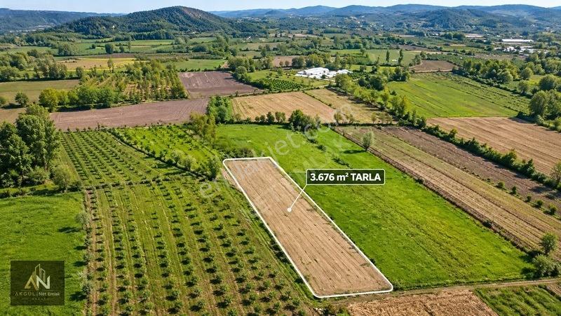 Yatırıma Uygun Çilimli'ye 10 Dk 3.676m2 Tarla Yola Cepheli — fotoğraf 2