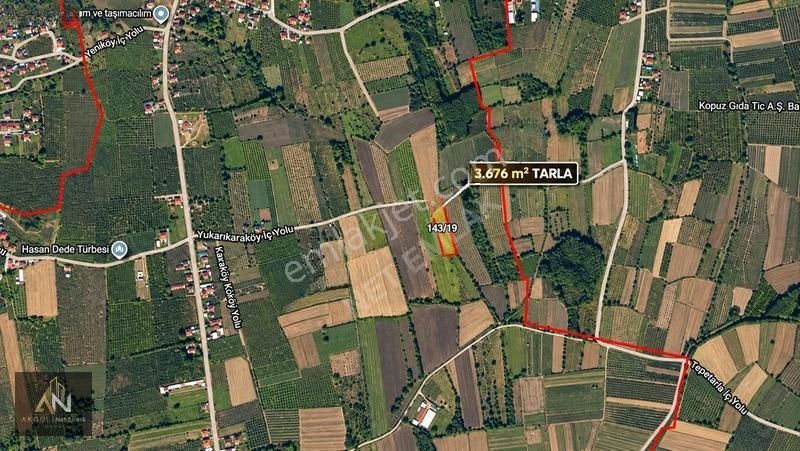 Yatırıma Uygun Çilimli'ye 10 Dk 3.676m2 Tarla Yola Cepheli — fotoğraf 3