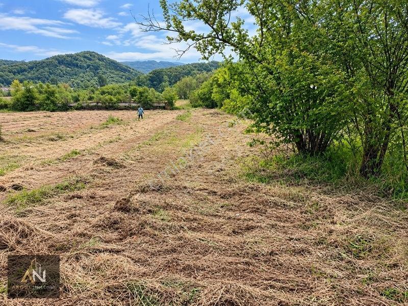 Yatırıma Uygun Çilimli'ye 10 Dk 3.676m2 Tarla Yola Cepheli — fotoğraf 4