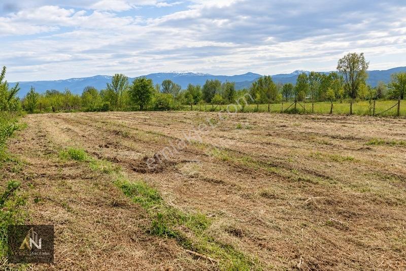 Yatırıma Uygun Çilimli'ye 10 Dk 3.676m2 Tarla Yola Cepheli — fotoğraf 5