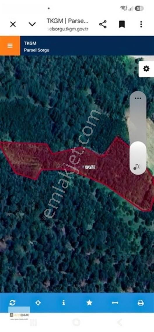 Mudurnu Hacıhalimler'De Satılık 6229M² Yatırımlık Tarla