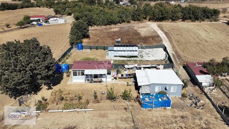 Mecidiye Sahil De 531 M2 Satılık
