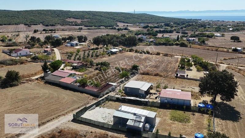 Mecidiye Sahil De 531 M2 Satılık — fotoğraf 17