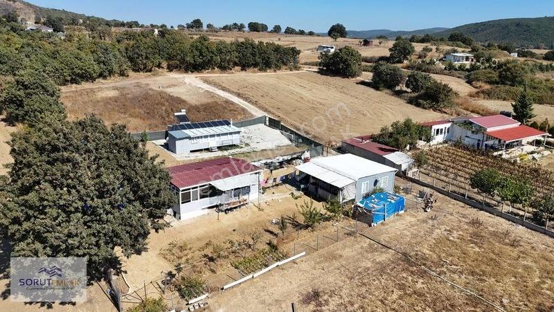 Mecidiye Sahil De 531 M2 Satılık — fotoğraf 21