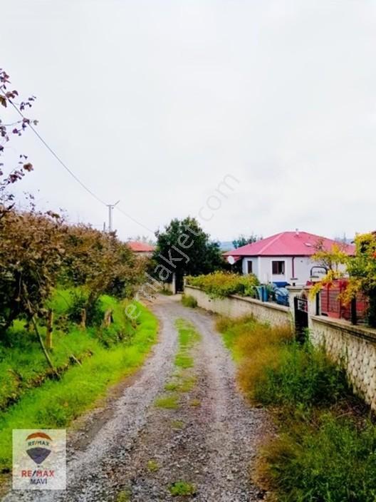 Kocaali Kozluk Mahallesinde Villa İmarlı Arsa.