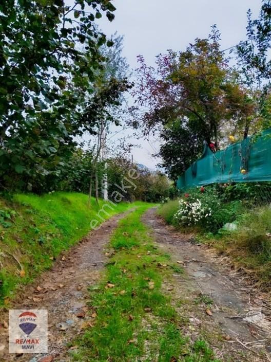 Kocaali Kozluk Mahallesinde Villa İmarlı Arsa. — fotoğraf 4
