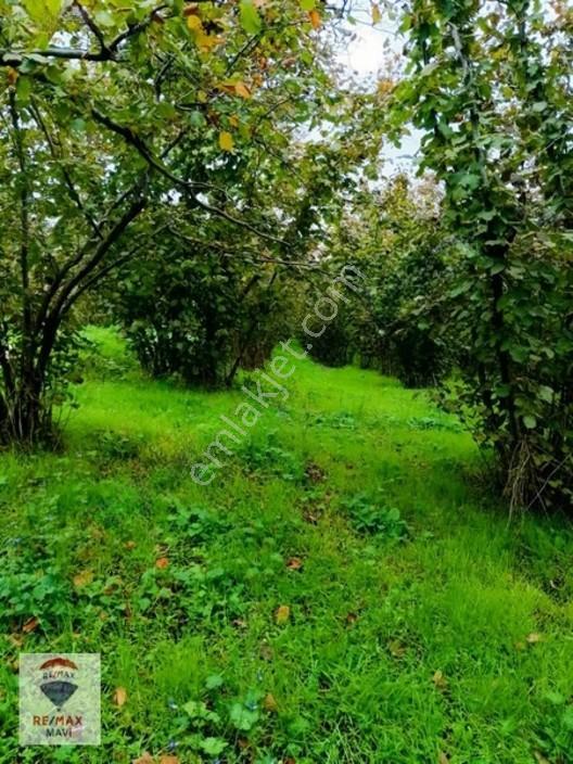 Kocaali Kozluk Mahallesinde Villa İmarlı Arsa. — fotoğraf 8