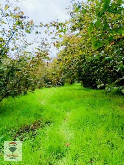 Kocaali Kozluk Mahallesinde Villa İmarlı Arsa. — fotoğraf 9
