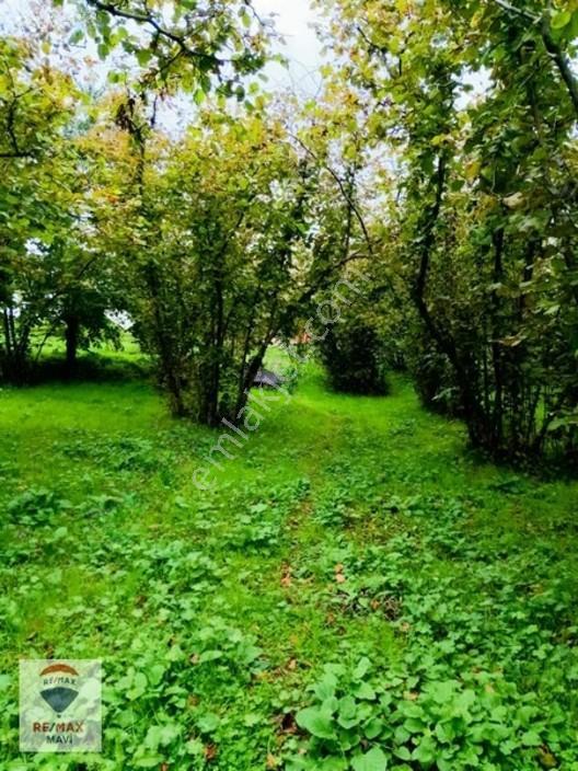 Kocaali Kozluk Mahallesinde Villa İmarlı Arsa. — fotoğraf 10