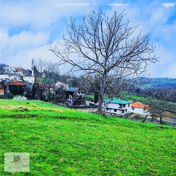 Kocaeli Kandırada Yusufça Köyünde Satılık Bahçe 187 — fotoğraf 4