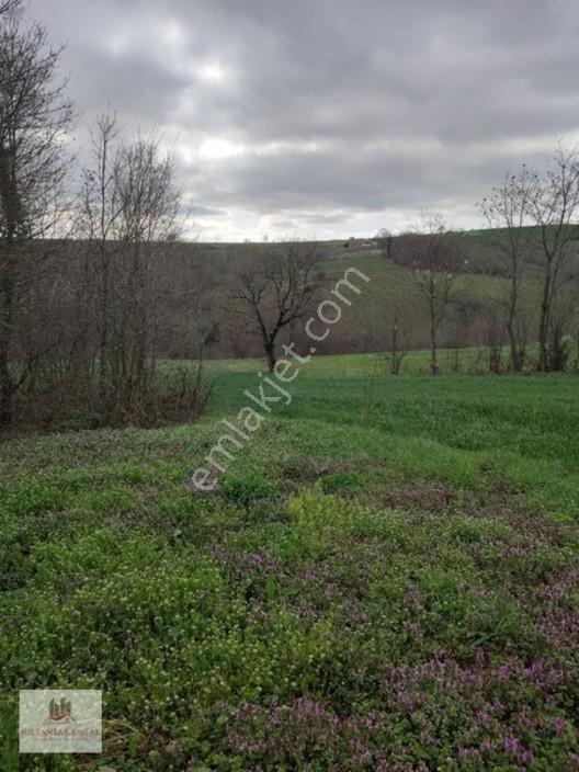 Kocaeli Kandırada Yusufça Köyünde Satılık Bahçe 187 — fotoğraf 6