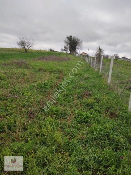 Kocaeli Kandırada Yusufça Köyünde Satılık Bahçe 187 — fotoğraf 8