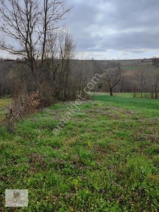 Kocaeli Kandırada Yusufça Köyünde Satılık Bahçe 187 — fotoğraf 10
