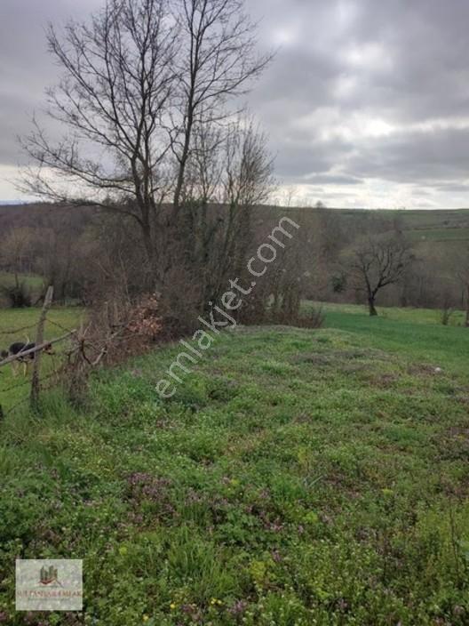 Kocaeli Kandırada Yusufça Köyünde Satılık Bahçe 187 — fotoğraf 13