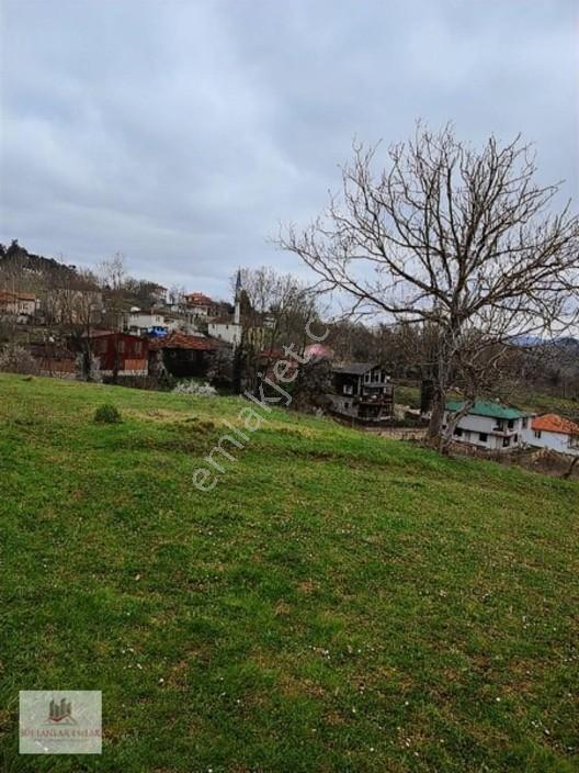 Kocaeli Kandırada Yusufça Köyünde Satılık Bahçe 187 — fotoğraf 15