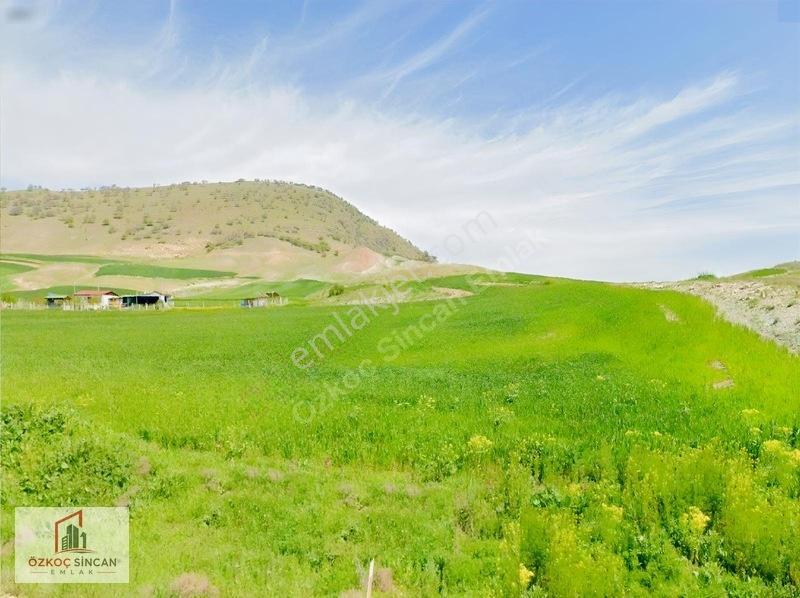 Özkoç'tan Ayaş Gökler'de Tek Tapu 12.430 M2 Satılık Arazi — fotoğraf 2