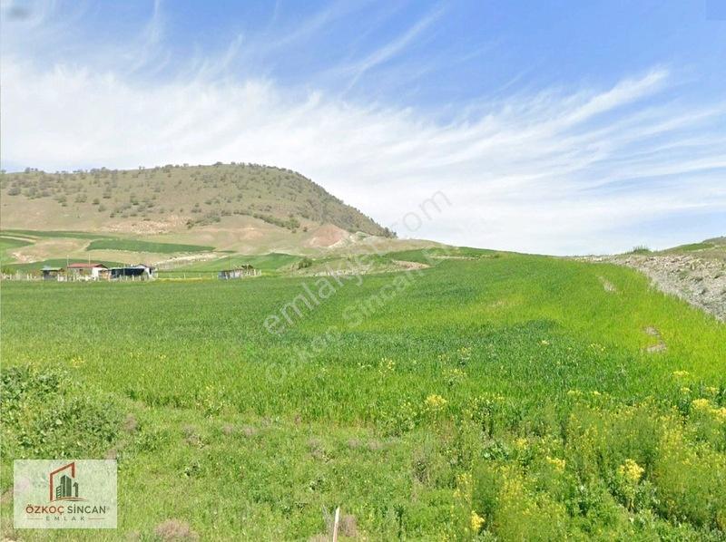 Özkoç'tan Ayaş Gökler'de Tek Tapu 12.430 M2 Satılık Arazi — fotoğraf 19