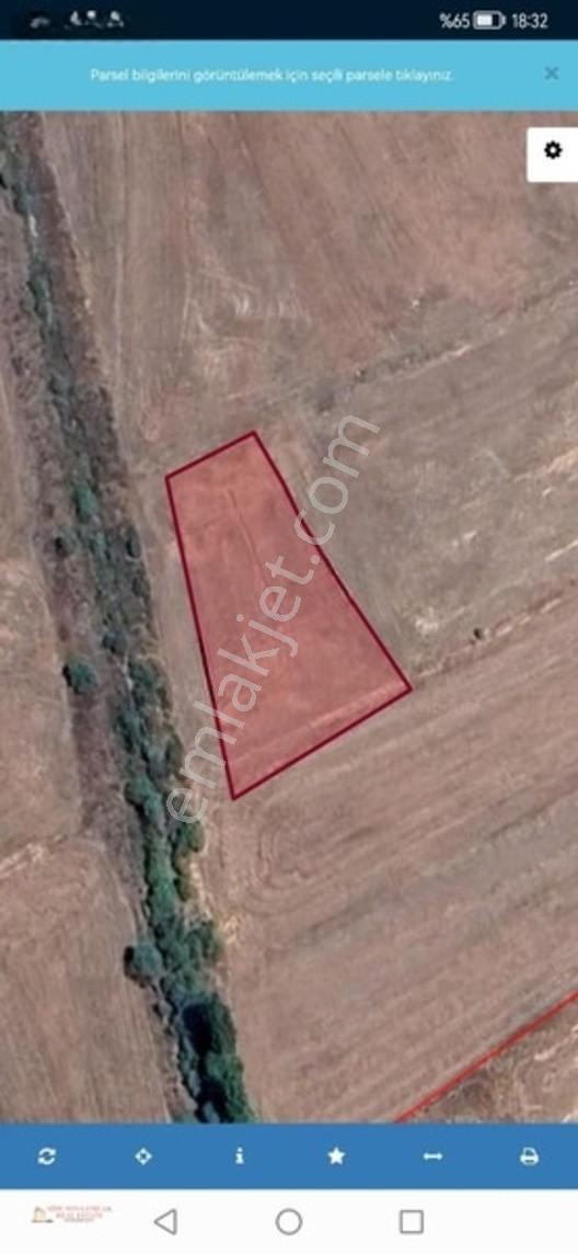 Seydişehir Boyalı Da Satılık Tarla