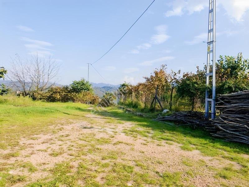 Bolaman-güvercinlik Mah Full Deniz Manzaralı Fındık Bahçesi — fotoğraf 10