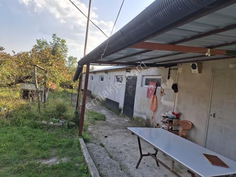 Bolaman-güvercinlik Mah Full Deniz Manzaralı Fındık Bahçesi — fotoğraf 14