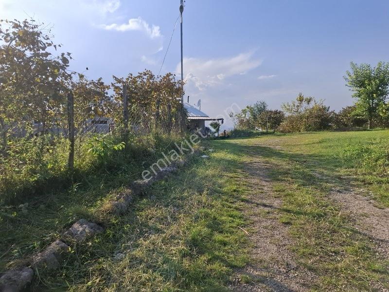Bolaman-güvercinlik Mah Full Deniz Manzaralı Fındık Bahçesi — fotoğraf 16