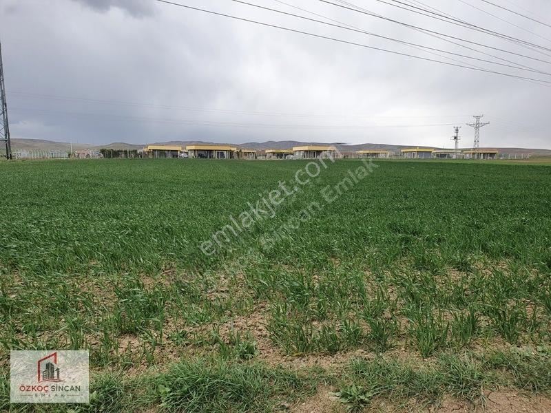 Sincan Temelli Hürriyet'te İmar Plan İçerisinde 2700 M2 Kök Tapu — fotoğraf 4
