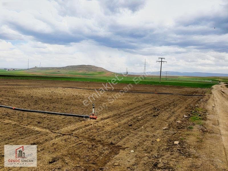 Sincan Temelli Hürriyet'te İmar Plan İçerisinde 2700 M2 Kök Tapu — fotoğraf 12