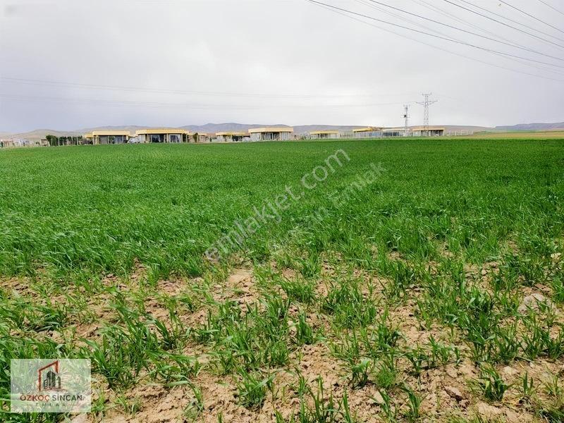 Sincan Temelli Hürriyet'te İmar Plan İçerisinde 2700 M2 Kök Tapu — fotoğraf 23