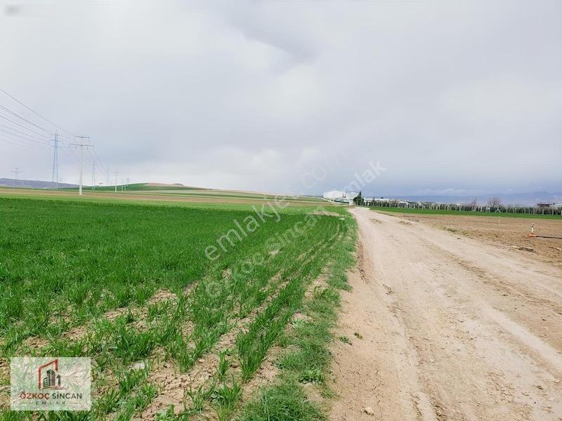 Sincan Temelli Hürriyet'te İmar Plan İçerisinde 2700 M2 Kök Tapu — fotoğraf 26