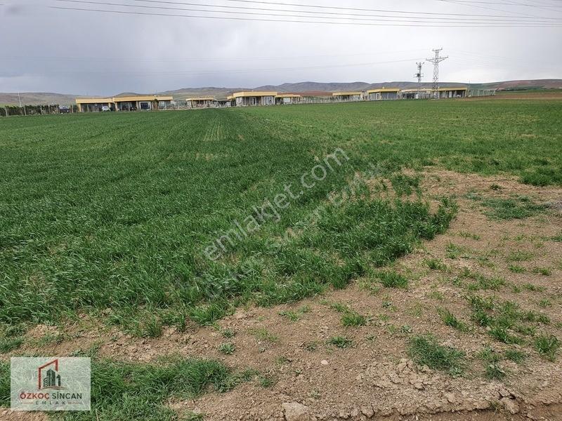 Sincan Temelli Hürriyet'te İmar Plan İçerisinde 2700 M2 Kök Tapu — fotoğraf 27