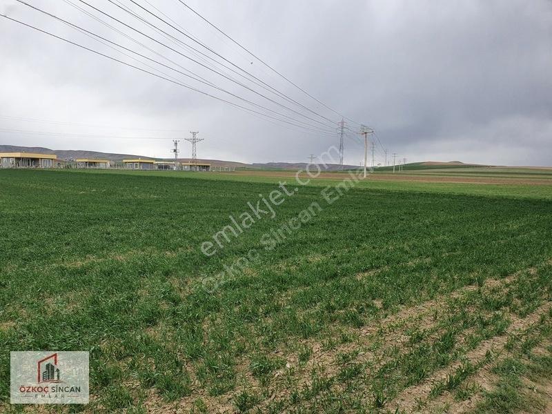 Sincan Temelli Hürriyet'te İmar Plan İçerisinde 2700 M2 Kök Tapu — fotoğraf 28