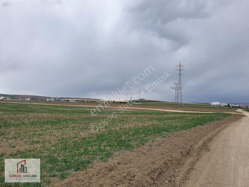 Sincan Temelli Hürriyet'te İmar Plan İçerisinde 2700 M2 Kök Tapu — fotoğraf 34