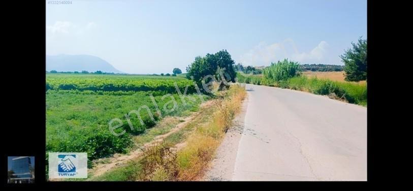 Manisa Turgutlu İzzettin Köyünde 4950M2 Satılık Arazi