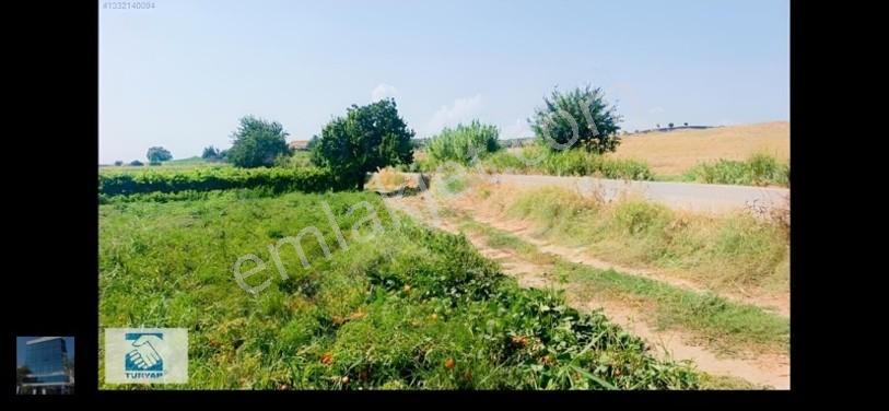 Manisa Turgutlu İzzettin Köyünde 4950m2 Satılık Arazi — fotoğraf 2
