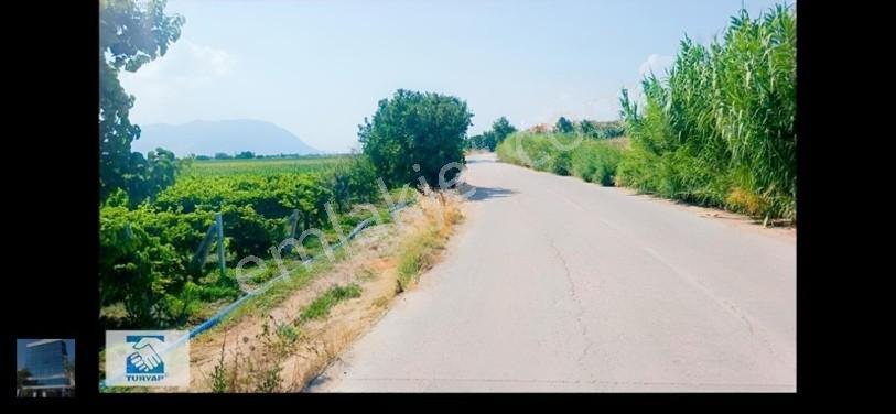 Manisa Turgutlu İzzettin Köyünde 4950m2 Satılık Arazi — fotoğraf 3